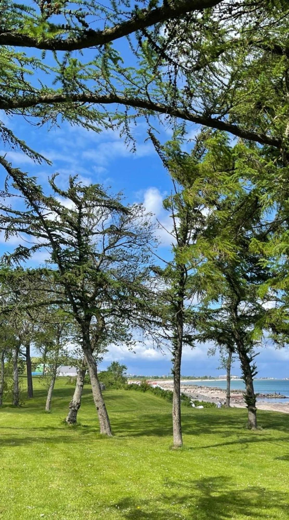 Ferien Am Strand, Urlaub An Der Ostsee Am In Der Naehe Der Schlei, Umgebung Von Kappeln U Damp Brodersby-Goltoft
